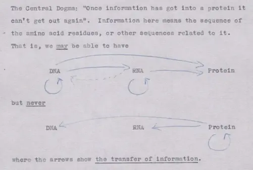 El primer esbozo del dogma central de Crick, de una nota no publicada hecha en 1956